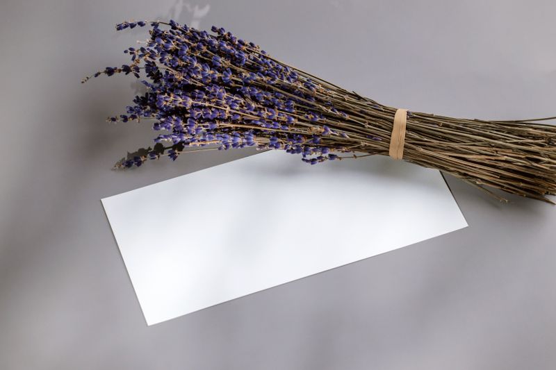 Bouquet de lavande séchée en pot décoratif — inter flora composition durable